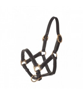 licol cuir noir pour mini shetland - la halle aux minis