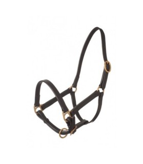 licol cuir noir pour mini shetland - la halle aux minis