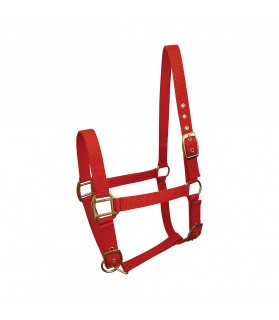 Licol nylon uni - rouge - shetland - La Halle aux Minis