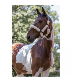 Licol full mouton synthétique bleu et blanc - shetland & poney - La halle aux minis