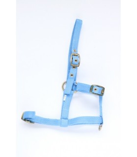 Licol mini-shet en nylon - bleu ciel - La halle aux minis