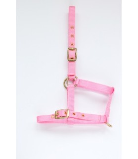 Licol mini-shet en nylon - rose - La halle aux minis