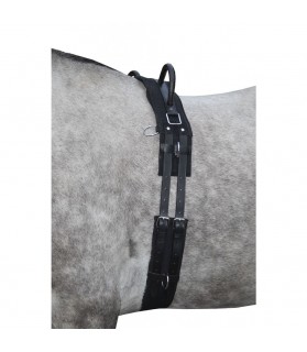 Surfaix canvas - shetland et mini shet - la halle aux minis -