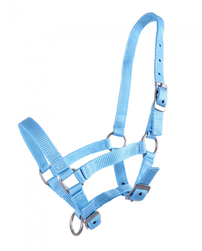 Licol en nylon taille mini-shet couleur uni - bleu ciel - La halle aux minis