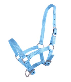 Licol en nylon taille mini-shet couleur uni - bleu ciel - La halle aux minis