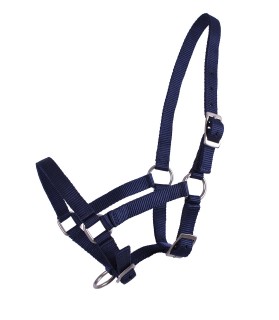 Licol en nylon taille mini-shet couleur uni - bleu marine- La halle aux minis