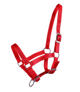 Licol en nylon taille mini-shet couleur uni - rouge - La halle aux minis
