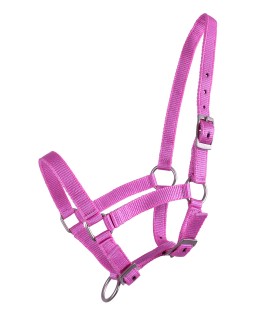 Licol en nylon taille mini-shet couleur uni - rose - La halle aux minis