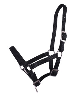 Licol en nylon taille mini-shet couleur uni - noir - La halle aux minis