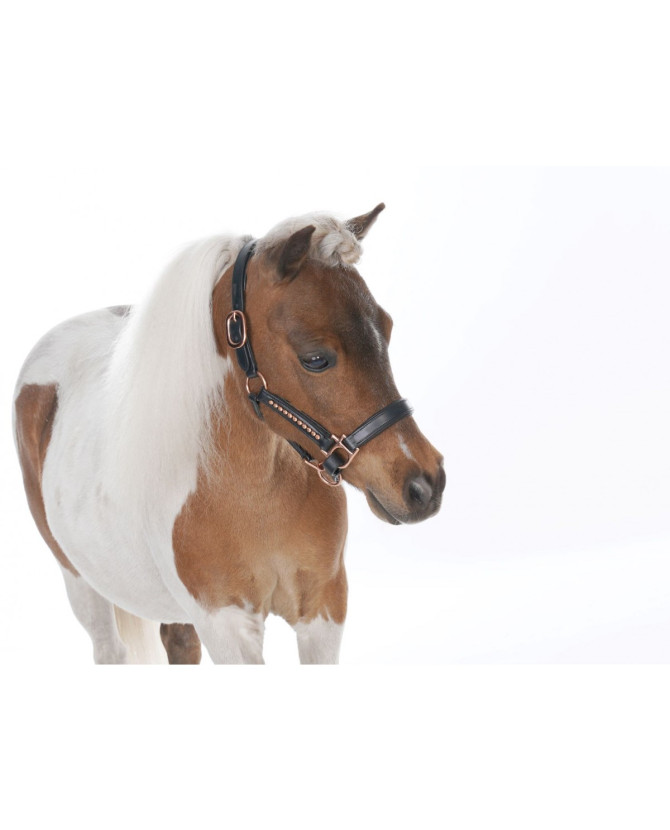 Licol cuir noir à strass luxe mini-shetland et cheval miniature - La halle aux minis