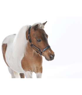 Licol cuir noir à strass luxe mini-shetland et cheval miniature - La halle aux minis