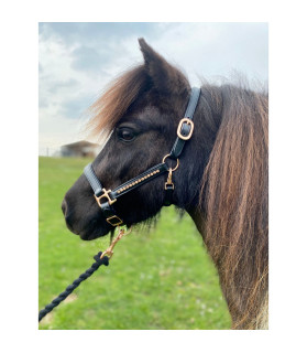 Licol cuir noir à strass luxe mini-shetland et cheval miniature - La halle aux minis