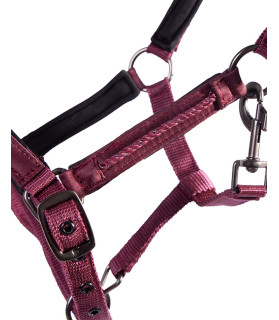 licol lily - mini shetland - bordeaux - la halle aux minis