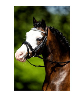 bridon frontal- strass argente - la halle aux minis