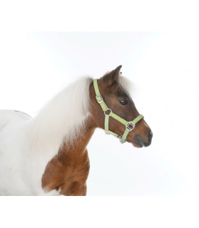 Licol nylon brillant vert - shetland - La halle aux minis