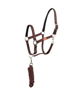 Licol uni shetland + longe assortie - bordeaux - La halle aux minis