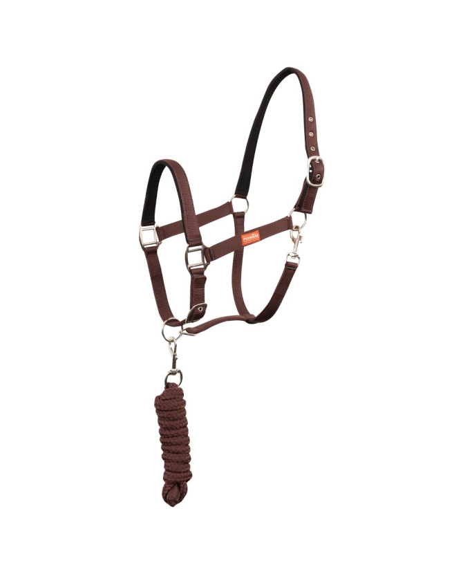 Licol uni shetland + longe assortie - bordeaux - La halle aux minis