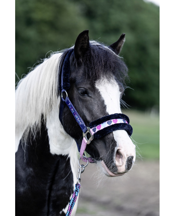 licol funny horse coeur- mini - shetland la halle aux minis