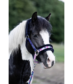 licol funny horse coeur- mini - shetland la halle aux minis