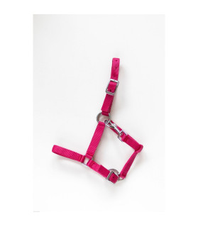 Licol nylon fushcia- cheval miniature - la halle aux minis