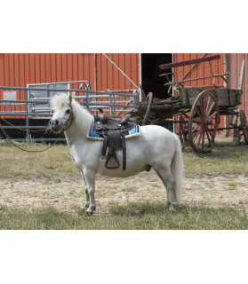 selle western westride "topeka" - havane - la halle aux minis.