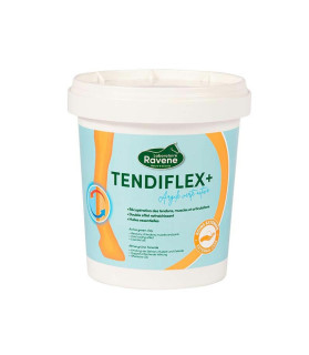 pate argile Tendiflex pour soin des membres et des tendons - la halle aux minis