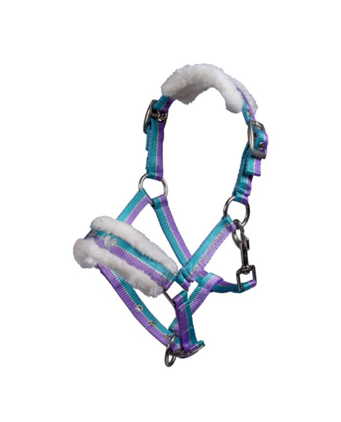 licol funny horse - shetland - turquoise - la halle aux minis