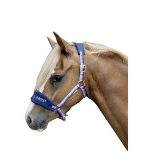 licol funny horse - shetland  - la halle aux minis