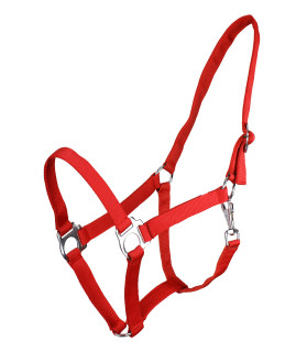 licol sans boucle - rouge - la halle aux minis