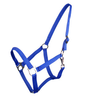 licol sans boucle - Bleu roi - la halle aux minis