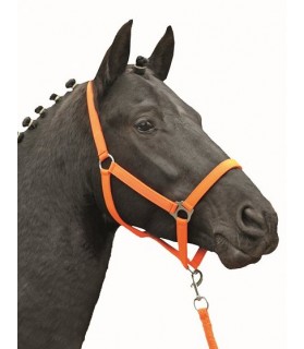 2786-licol_softice_orange-fluo_shetland&poney_lahalleauxminis