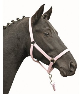 2786-licol_softice_rose_milky_shetland&poney_lahalleauxminis