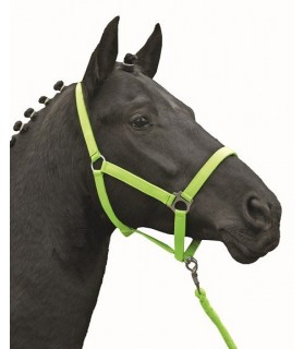 2786-licol_softice_vert-fluo_shetland&poney_lahalleauxminis