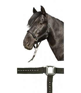 3987_Licol_strass_poney_noir_lahalleauxminis
