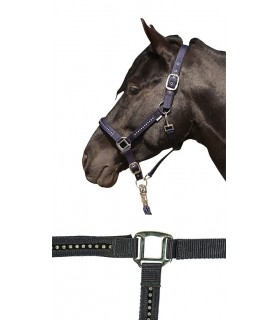 3987_Licol_strass_poney_bleu_fonce_lahalleauxminis