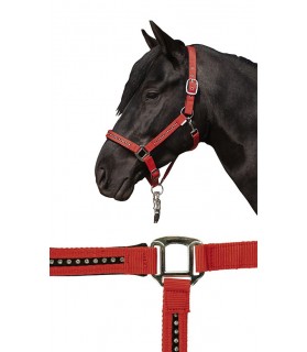 3987_Licol_strass_poney_rouge_lahalleauxminis