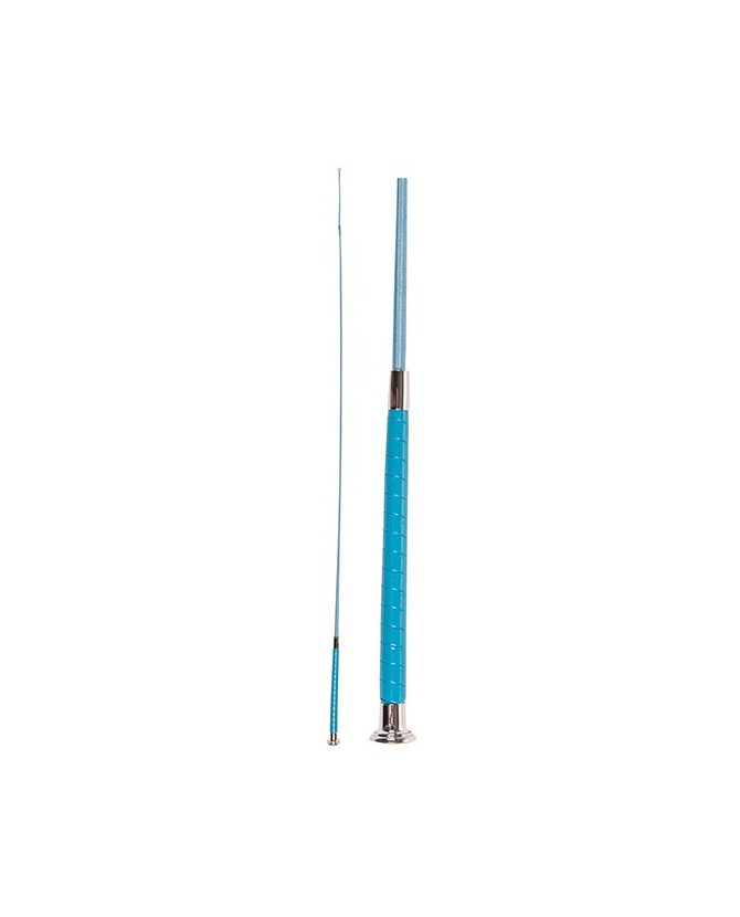 4307_6400_cravache-stick-dressage_laque_bleu-ciel_110cm_lahalleauxminis