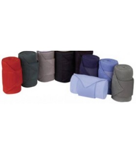 5181_bande-de-queue_couleur
