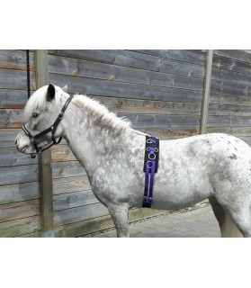 864_surfaix-mini-shet_shetland_violet_lahalleauxminis