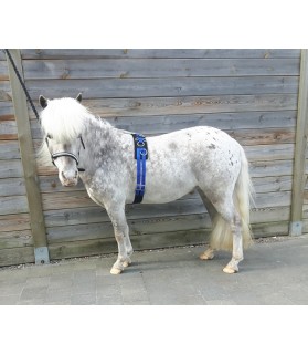 864_surfaix-mini-shet_shetland_bleu-royal_lahalleauxminis