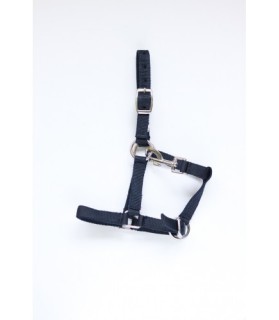 Licol nylon bleu marine- cheval miniature - la halle aux minis