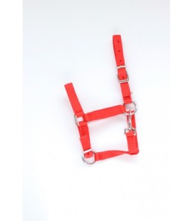 Licol nylon rouge - cheval miniature - la halle aux minis