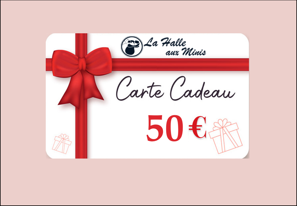 Carte cadeau La Halle aux Minis X Prince le film