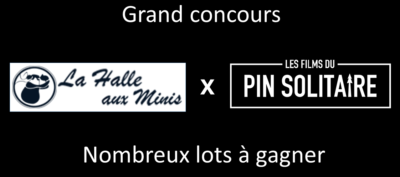 image concours La Halle aux Minis x Prince