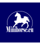 Mini Horse